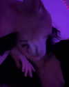 1kyle8_ Altpins Profile Picture