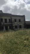 algofobica Altpins Profile Picture