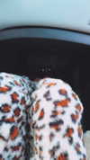 riaraexo Altpins Profile Picture