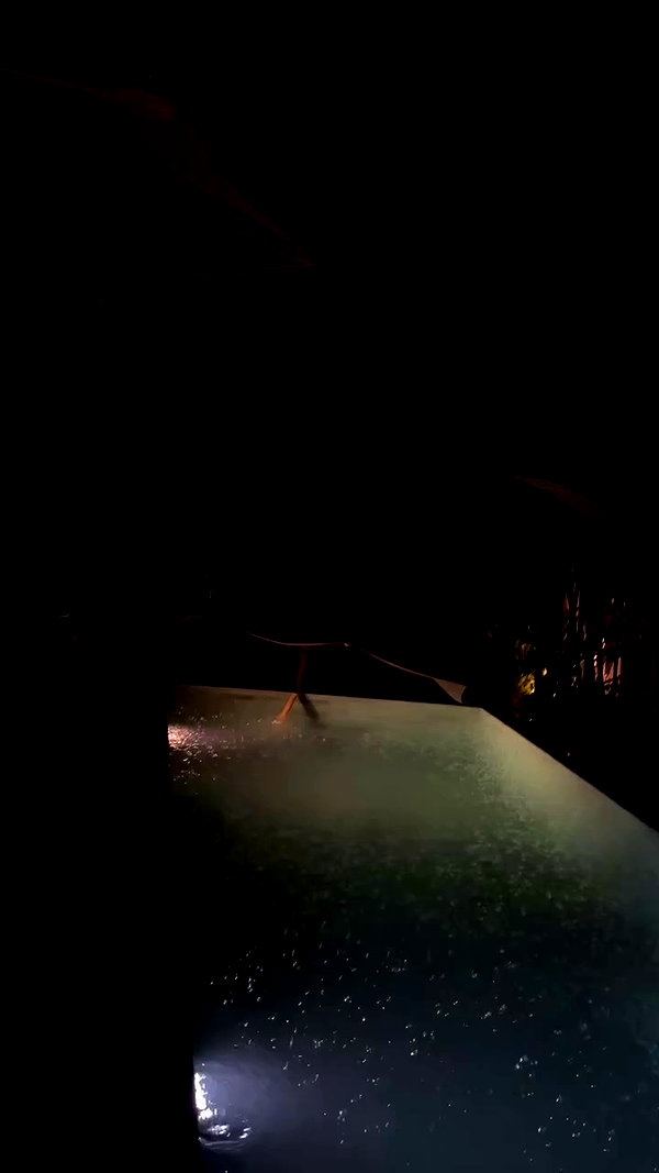 ellie.coldwell archive video preview