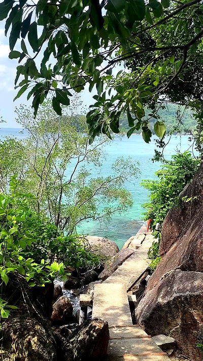 yam_adler yam_adler archive video