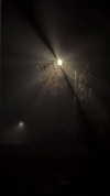 angxl.sky Altpins Profile Picture