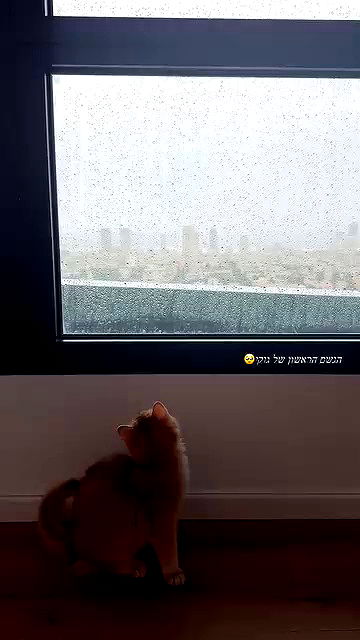 itsilanosh itsilanosh archive video