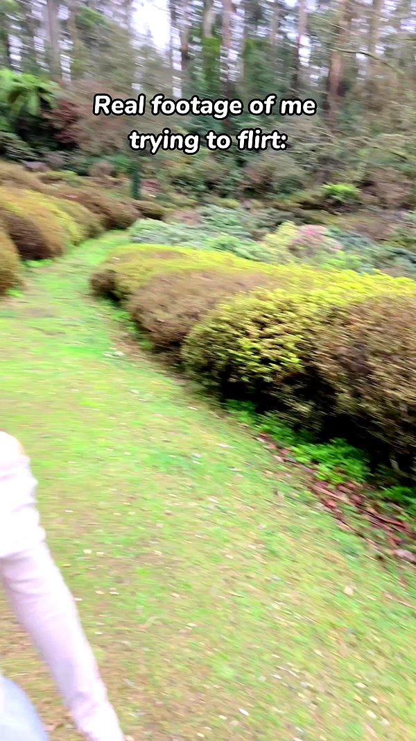 dinasaur_0_0_ archive video preview