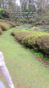 dinasaur_0_0_ Altpins Profile Picture
