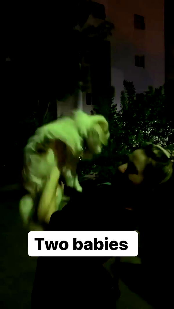 emily_new2 archive video preview