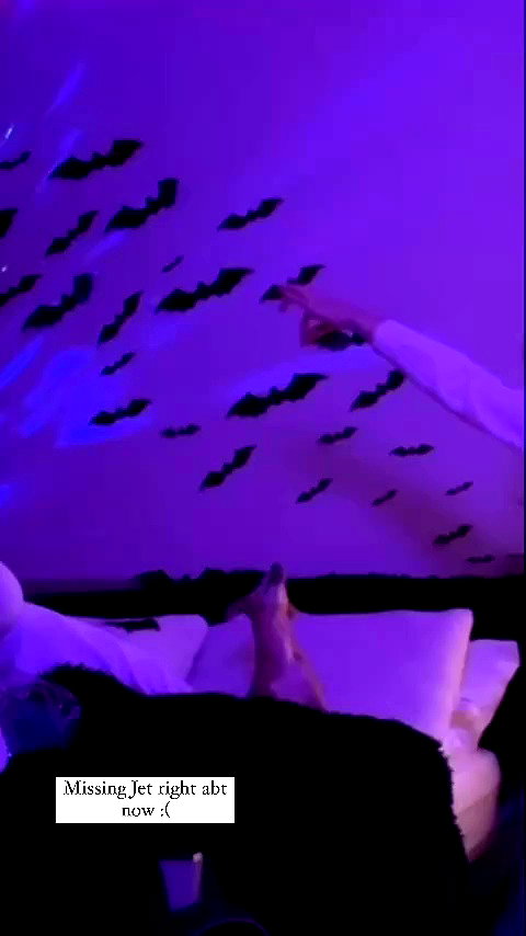 1kyle8_ archive video preview