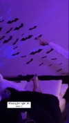 1kyle8_ Altpins Profile Picture