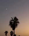 milena_kofef Altpins Profile Picture