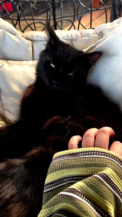 _wizardmidget_ _wizardmidget_ archive video