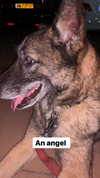 emily_new2 Altpins Profile Picture