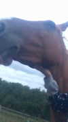 elena_stain Altpins Profile Picture