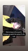 bluulin_ Altpins Profile Picture