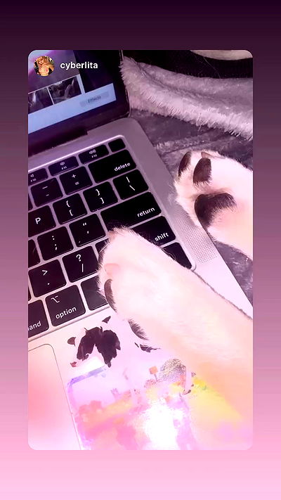 zommmbri zommmbri archive video