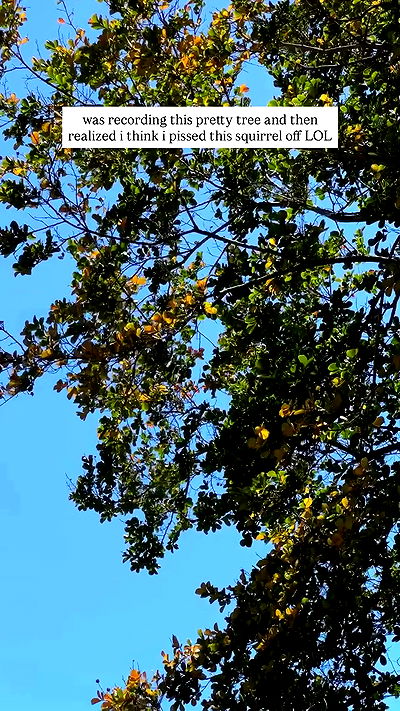 quarterjade quarterjade archive video