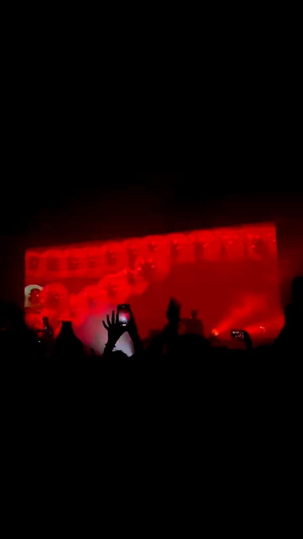 koral_toledo archive video preview
