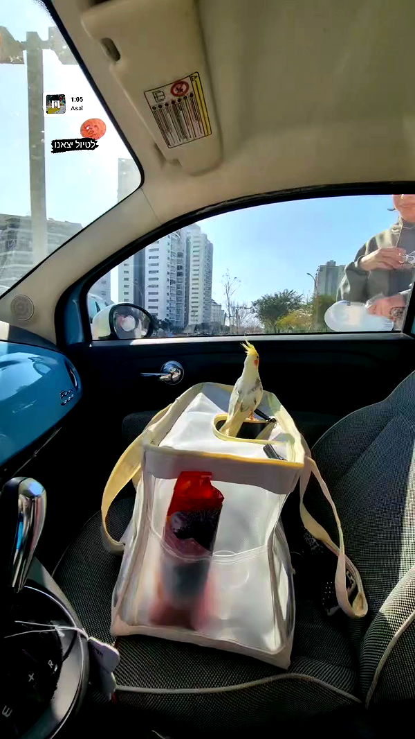 tinapavlov.sky archive video preview