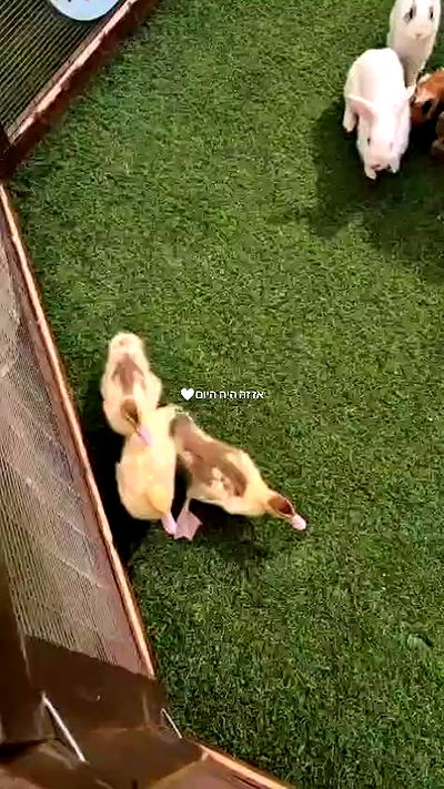 tinapavlov.sky tinapavlov.sky archive video