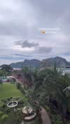 shelly_roberin Altpins Profile Picture