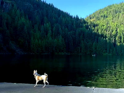 sydney_sweeney sydney_sweeney archive video