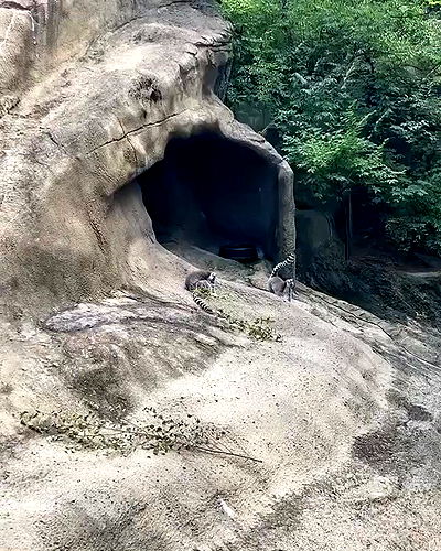 dakotabell05 dakotabell05 archive video