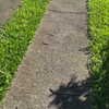 mitzawe Altpins Profile Picture