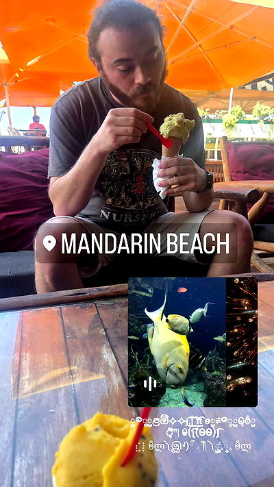 avital_1010.2003 avital_1010.2003 archive video