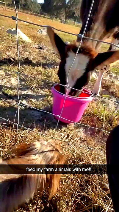 sophieraiin sophieraiin archive video