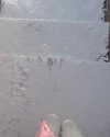 suadaunanh_ne Altpins Profile Picture