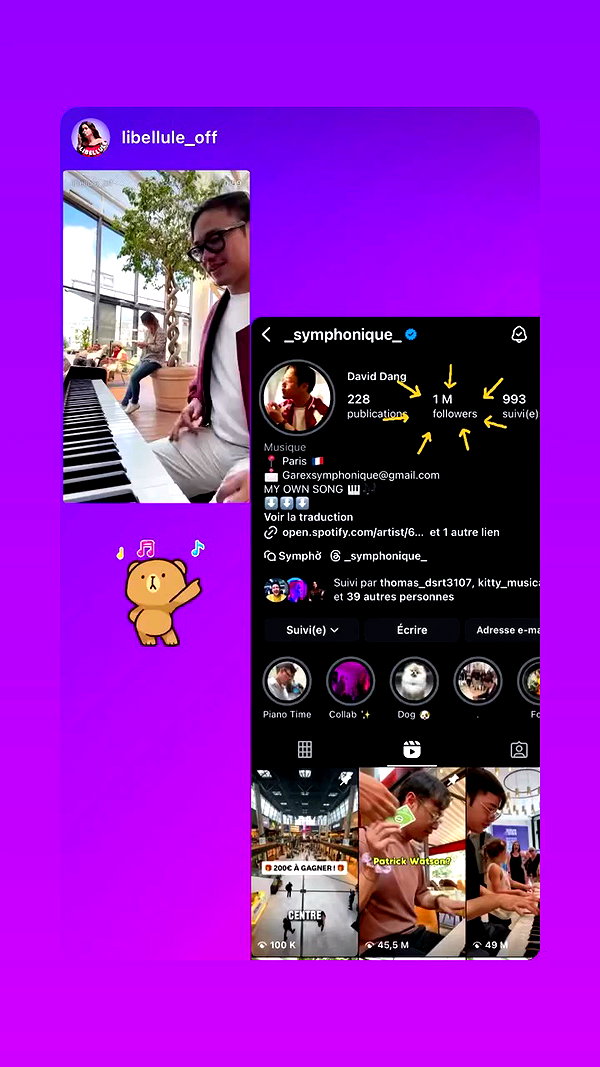 _symphonique_ archive video preview