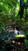 aleiisha.piixiie Altpins Profile Picture