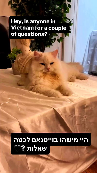 hanabellask8 hanabellask8 archive video