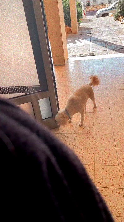 feelbetterinmysweater feelbetterinmysweater archive video