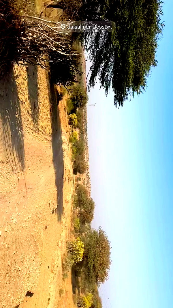 noa_mendel_ archive video preview