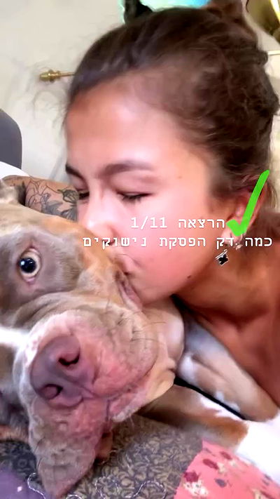 kesemgreenyer kesemgreenyer archive video