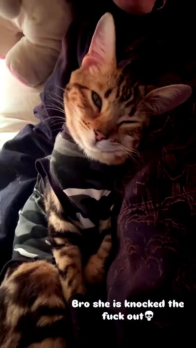 laurinchhhe laurinchhhe archive video