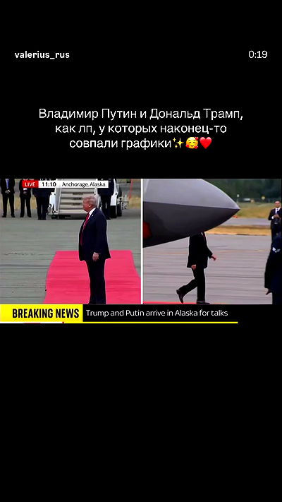 ninja.vi ninja.vi archive video