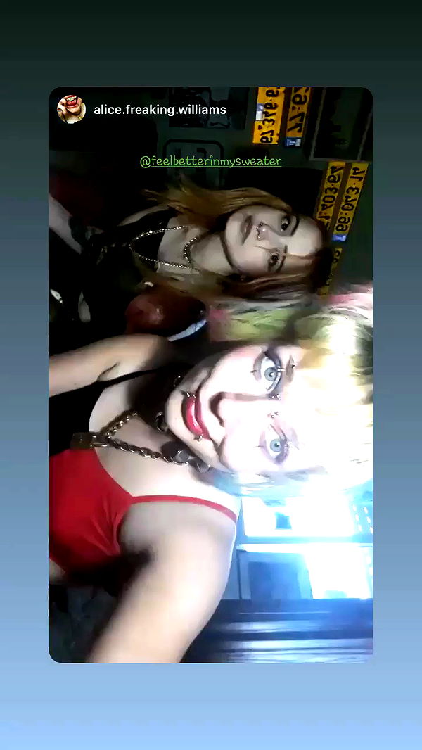 feelbetterinmysweater archive video preview