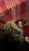 _cla._8 Altpins Profile Picture