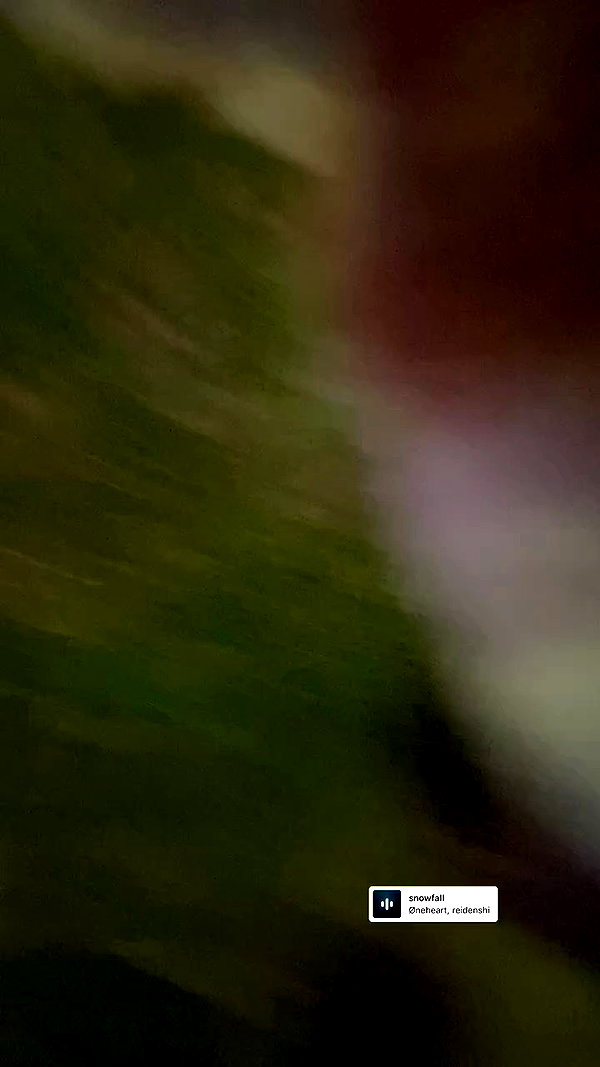 neomiconrad archive video preview