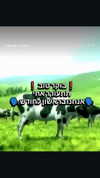 vadim_evs Altpins Profile Picture