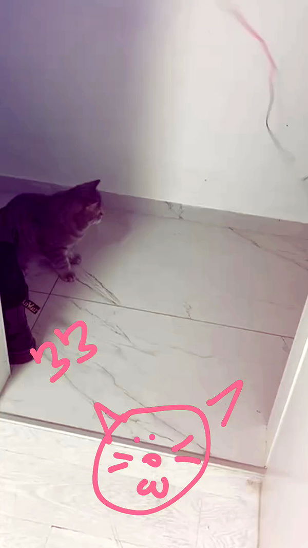 natahalieeee archive video preview