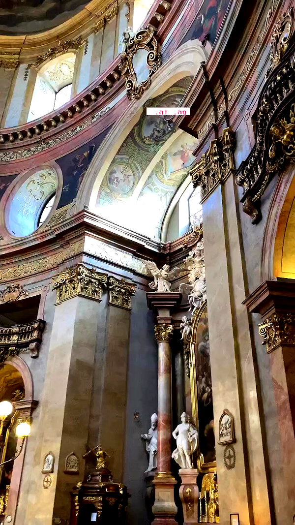 shirpolani archive video preview