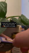 mika_doesnt_exist Altpins Profile Picture