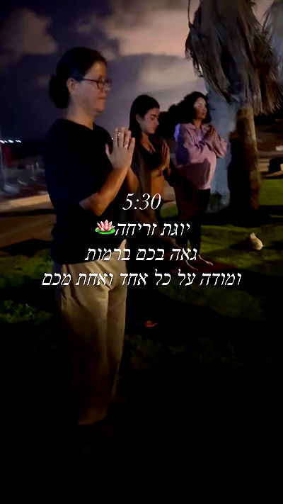 liad.arazi liad.arazi archive video