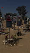 amit.yaron Altpins Profile Picture