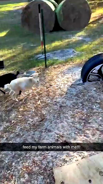 sophieraiin sophieraiin archive video