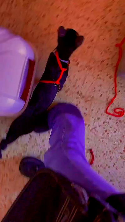 feelbetterinmysweater feelbetterinmysweater archive video