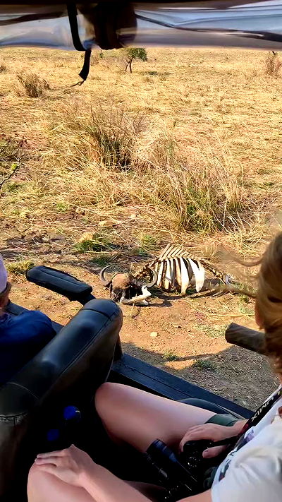 tinapavlov.sky tinapavlov.sky archive video