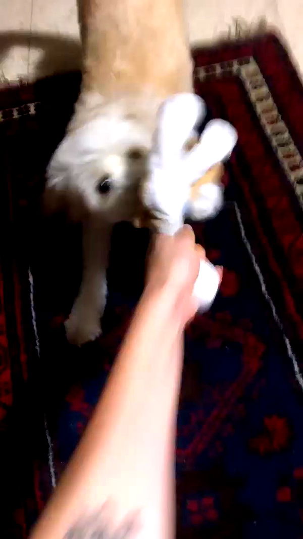 feelbetterinmysweater archive video preview